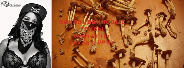 дурь Белокуриха